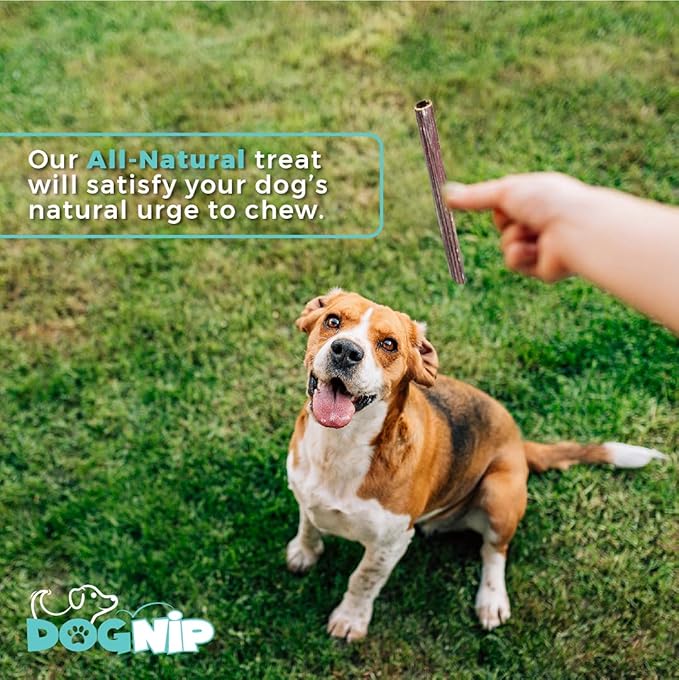 Dog Nip! 6 Inch Taffy Sticks - Gullet Esophagus Sticks (1 Pound) (Approx. 35-45 Pieces) Naturally Rich in Glucosamine and Chondroitin - Joint Health - Grass Fed Beef