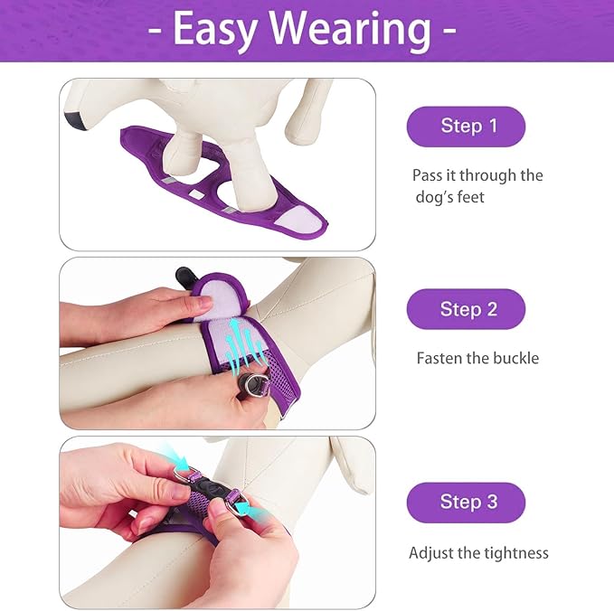 Dog Harness for Small Dogs, Small Dog Harness and Leash Set, Honeycomb Grid, Reflective Lightweight Harness & Anti-Twist Pet Lead,Dog Harness(Multi Color, Size: XS-S-M) (XS, Purple)
