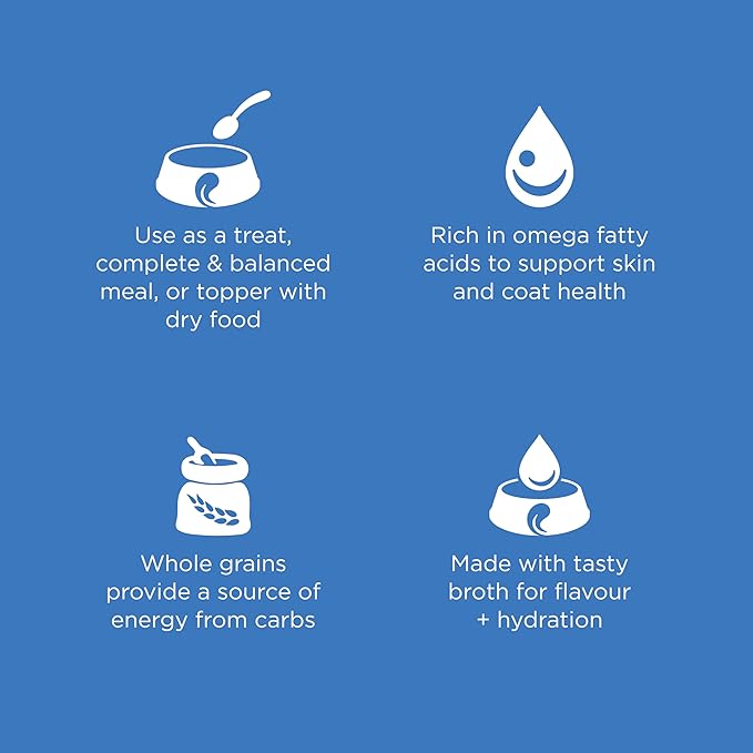 Go! Solutions Skin + Coat Care, Wet Dog Food Shredded, Chicken Recipe with Grains for Sensitive Skin, 12.5 oz