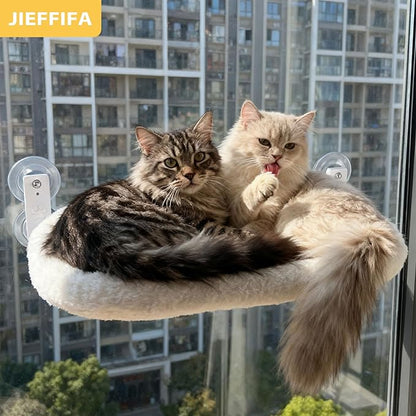 Cat Window Perch with Strong Suction Cups, 55lbs Hold Weight Tested, Foldable Cat Window Hammock Bed with Breathable Mesh, All-Season Lounger for Medium Small Cats to Bird Watch & Sunbathe (White, XL)