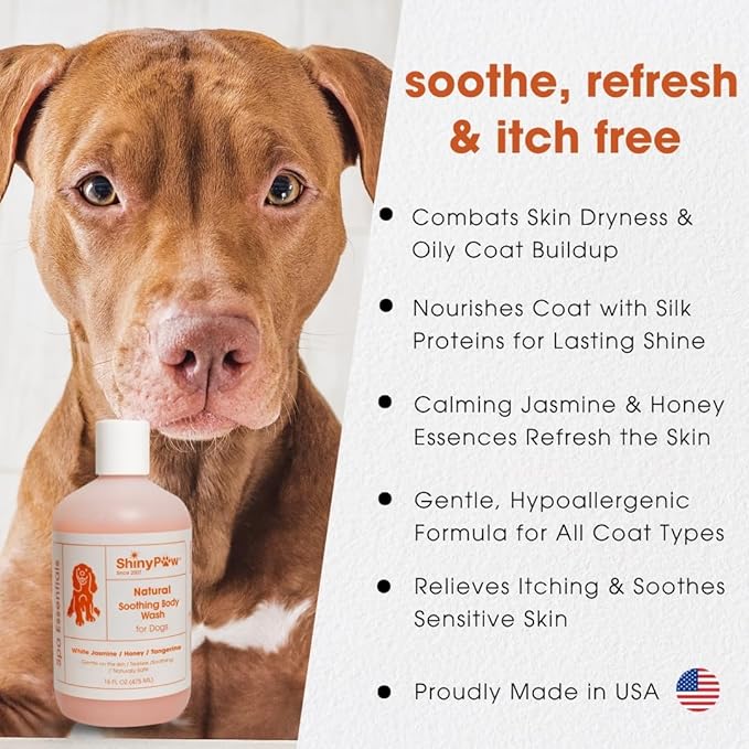 Jasmine & Honey Spa Body Wash for Dogs by Shiny Paw 16 oz | Dog Itchy Skin Relief & Aging Coat | Hypoallergenic Dog Shampoo for Smelly Dogs | Made in USA
