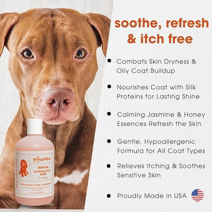 Jasmine & Honey Spa Body Wash for Dogs by Shiny Paw 16 oz | Dog Itchy Skin Relief & Aging Coat | Hypoallergenic Dog Shampoo for Smelly Dogs | Made in USA