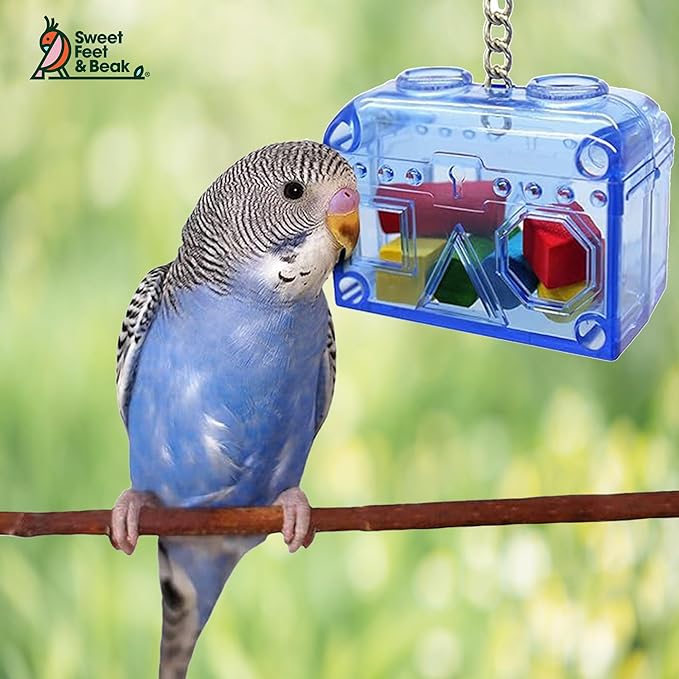 Sweet Feet and Beak Large or Small Treasure Chest - Perfect Bird Cage Toy Colorful, Safe, Easy to Install - Washable, Refillable, Non-Toxic, Foraging Box - Cage Accessories