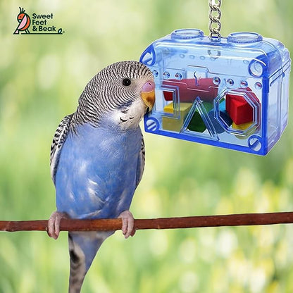 Sweet Feet and Beak Large or Small Treasure Chest - Perfect Bird Cage Toy Colorful, Safe, Easy to Install - Washable, Refillable, Non-Toxic, Foraging Box - Cage Accessories