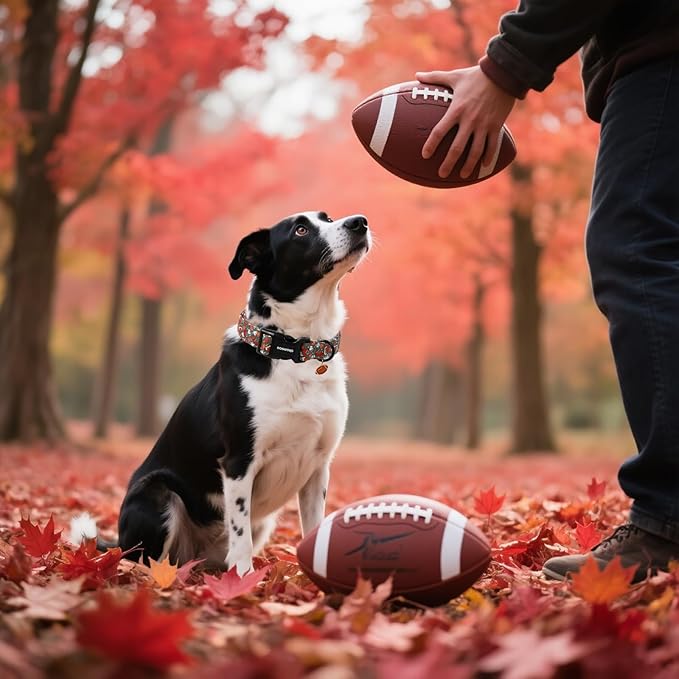 DOGWONG Fall Dog Collar, Rugby Maple Leaf Dog Collar Adjustable Soft Cute Pumpkin Dog Collars Cute Fall Puppy Necklace for Small Medium Large Dogs