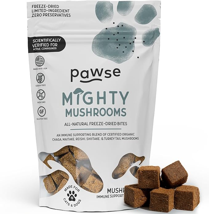 Mighty Mushroom Supplement for Dogs & Cats | for Immune System, Lumps & Bumps, Gut Health & Skin Support | Mushroom Blend with Turkey Tail, Reishi, Chaga, Maitake & Shiitake | 60 Bites