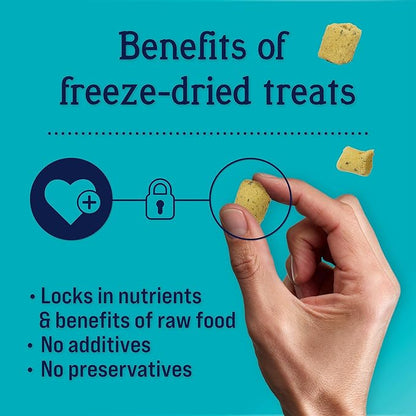 Stewart Freeze Dried Dog Treats, Salmon & Vegetable, Focus Treats, Cognitive Function, Grain Free, 4 Ounce Resealable Pouch, Made in USA