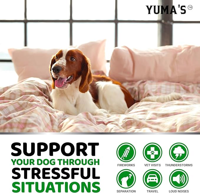 YUMA'S (2 Pack) Hemp Calming Chews for Dogs - Advanced Dog Calming Chews - Anxiety Relief Treats - Separation Aid, Barking, Stress Relief, Thunderstorms - Melatonin - Hemp Oil - Made in USA