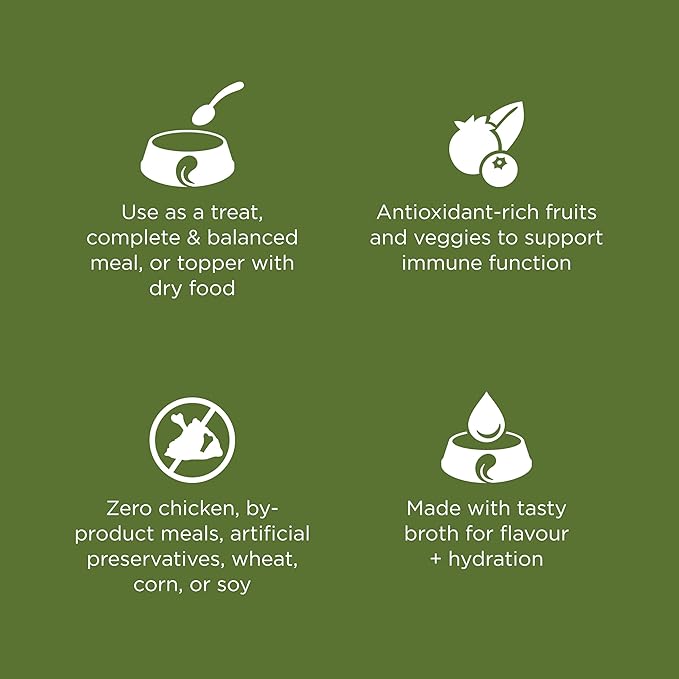 Go! Solutions Sensitivities Limited Ingredient, Grain-Free Wet Dog Food, Shredded Turkey Recipe for Sensitive Stomach, 12.5 oz