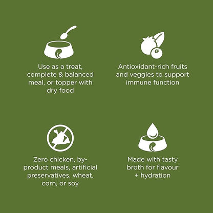 Go! Solutions Sensitivities Limited Ingredient, Grain-Free Wet Dog Food, Shredded Turkey Recipe for Sensitive Stomach, 12.5 oz