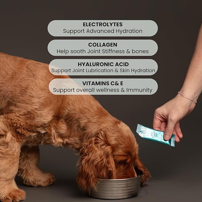 Advanced Joint & Hydration Supplement for Dogs – Vet-Approved - Soluble Powder with Collagen, Electrolytes, 7 Active Nutrients & Vitamins – Chicken Broth Flavor (Up to 8 Weeks Supply)