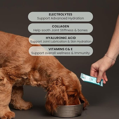 Advanced Joint & Hydration Supplement for Dogs – Vet-Approved - Soluble Powder with Collagen, Electrolytes, 7 Active Nutrients & Vitamins – Chicken Broth Flavor (Up to 8 Weeks Supply)