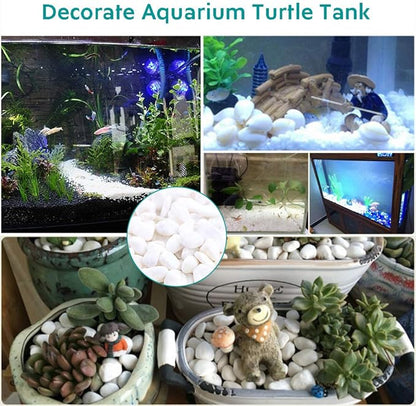 WAYBER 2 Lb/920g White Stones Decorative Pebble Rock Sand for Aquarium/Fish Turtle Tank/Vase Filler/Succulent Plants Decoration (Fill 2 Cups)