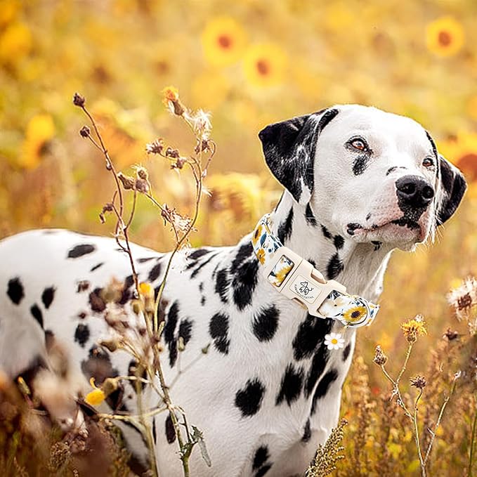 Elegant little tail Dog Collar,Sunflower Pattern Pet Collar Cute Durable Spring Female or Male Adjustable Cotton Pet Collar with Quick Release Buckle for Medium Dogs