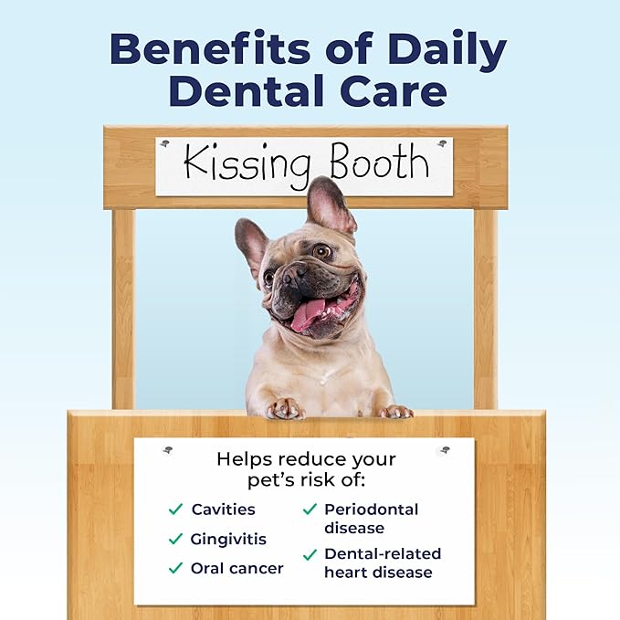 Vetnique Dentabliss - Dog Teeth Cleaning Finger Mitt Dental Wipe - Dog Plaque and Tartar Prevention with Brushing Beads - Convenient Peppermint Dog Teeth Wipes, Dog Breath Freshener