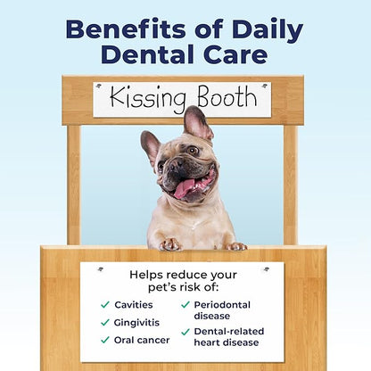 Vetnique Dentabliss - Dog Teeth Cleaning Finger Mitt Dental Wipe - Dog Plaque and Tartar Prevention with Brushing Beads - Convenient Peppermint Dog Teeth Wipes, Dog Breath Freshener