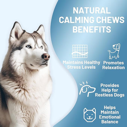 Noble Beast Dog Hemp Calming Chews for Dogs - Melatonin for Dogs - Dog Calming Treats - Motion Sickness for Dogs - All Natural - Soft Chews with Hemp and Melatonin - Chicken Flavor -120 Count