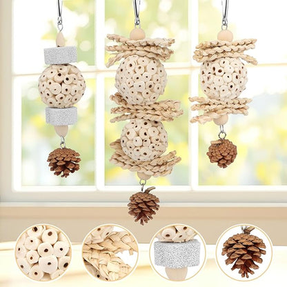 Wontee Bird Toys 3 Pack Parrot Foraging Hanging Toys Sola Ball Natural Nuts Chew Toys for Cockatiels Conures Parakeets Budgies Senegal (3 Pack)