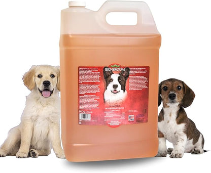 Bio-Groom Flea & Tick Dog Shampoo - Flea and Tick Prevention for Dogs, Cat Flea Treatment, Cruelty-Free, Made in USA, Natural Tick Repellent, Protein-Lanolin Shampoo - 2.5 Gallons
