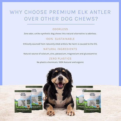Good Trouble Pets Premium Elk Antlers for Large Dogs - All-Natural, Shed Antler Chews for Dental Health & Calming - Durable Dog Bones for Aggressive Chewers - Cruelty-Free, North American Sourced