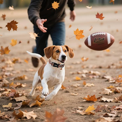 DOGWONG Fall Dog Collar, Rugby Maple Leaf Dog Collar Adjustable Soft Cute Pumpkin Dog Collars Cute Fall Puppy Necklace for Small Medium Large Dogs