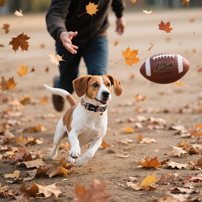 DOGWONG Fall Dog Collar, Rugby Maple Leaf Dog Collar Adjustable Soft Cute Pumpkin Dog Collars Cute Fall Puppy Necklace for Small Medium Large Dogs