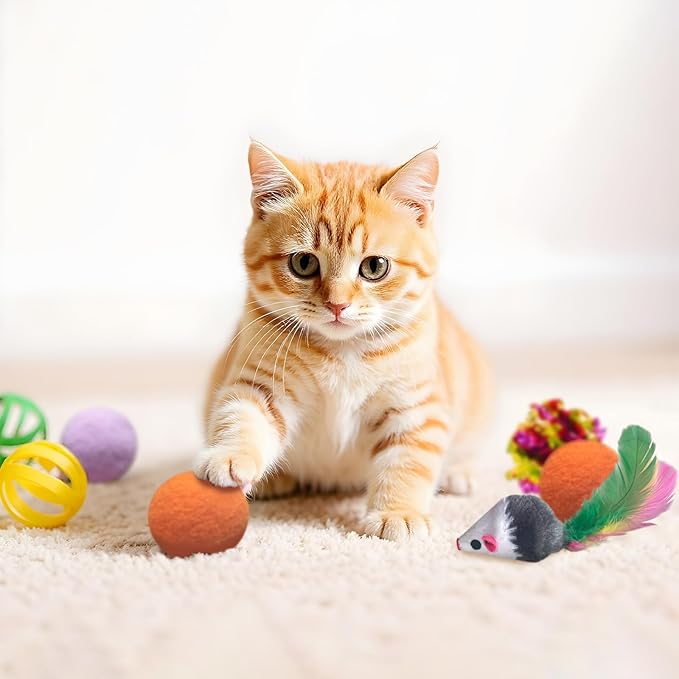 AGYM Cat Toys for Indoor Cats, 35 Packs Interactive Cat Toys Set with Colorful Springs, Mouse Cat Toy, Crinkle, Sisal, Pompom and Color Bell Balls for Kittens