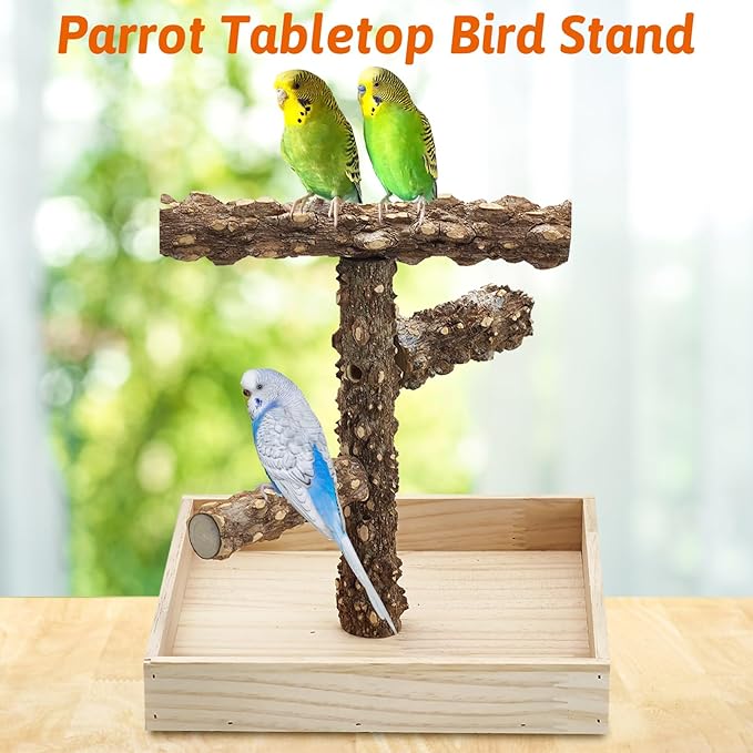 BNOSDM Portable Bird Perch Stand with Potty Tray, Natural Wood Tabletop Training Gym Parrot Playground Toy for Budgies, Cockatiels, Lovebirds,Conures Canaries
