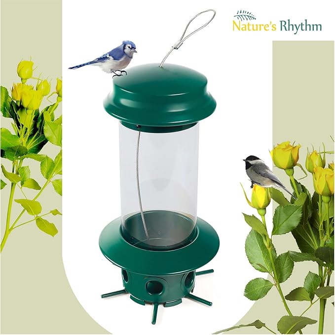 Nature's Rhythm Hanging Classic Tube Wild Bird Feeder Premium Hard Plastic Steel Hanger Weatherproof and Water Resistant