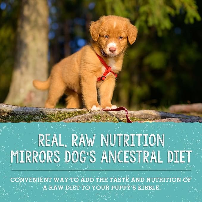 Stella & Chewy's Freeze Dried Raw Meal Mixers  Crafted for Puppies  Grain Free, Protein Rich Perfectly Puppy Beef & Salmon Recipe  3.5 oz Bag