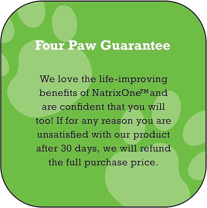 100% Pure Camelina Oil for Dogs, 16 oz - Dog Skin and Coat Supplement All-Natural Supplements, Support Hearts, Joints, Coats, Skin and Anti-inflammatory, Protective Care - Omega 3 by NatrixOne