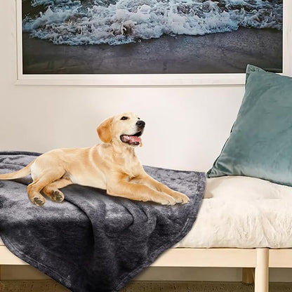 Onarway Dog Blanket Washable for Puppy: 4 Packs Dog Blankets 40”x28” - Fluffy Soft Small Throw for Cat Puppy Kitten Dogs - Fleece Pet Blankets for Bed Sofa Car and Indoor - Purple