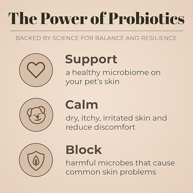 Skout's Honor Probiotic Pet Shampoo & Conditioner with Avocado Oil & Omega-3s, 97% Natural, Paraben & Sulfate-Free, Cruelty-Free, 16oz, Dog of The Woods, 2-Pack