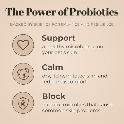 Skout's Honor Probiotic Pet Shampoo & Conditioner with Avocado Oil & Omega-3s, 97% Natural, Paraben & Sulfate-Free, Cruelty-Free, 16oz, Dog of The Woods, 2-Pack