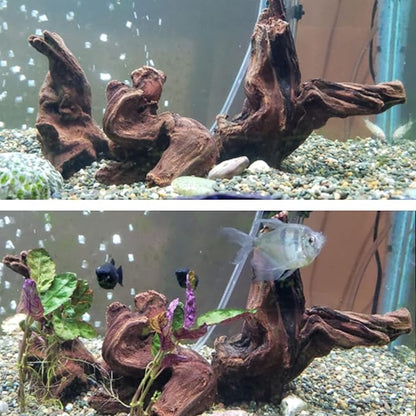 Hamiledyi Aquarium Driftwood 3PCS Natural Trunk Driftwood Assorted Branches 8-12" Reptile Wood Decor Terrarium Ornament Fish Tank Decoration