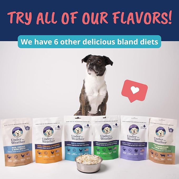 Under the Weather Bland Diet for Dogs | Easy to Digest Stomach Support for Sick Dogs | Contains Electrolytes, All Natural | 1 Pack - Turkey, Oatmeal, Sweet Potato & Slippery Elm for Dogs - 6oz