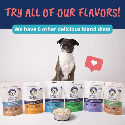 Under the Weather Bland Diet for Dogs | Easy to Digest Stomach Support for Sick Dogs | Contains Electrolytes, All Natural | 6 Pack - Turkey, Oatmeal, Sweet Potato & Slippery Elm for Dogs - 6oz