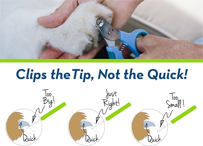 Zen Clipper Pet Nail Clipper for Cats  Cat Nail Trimmer for Safer Pet Grooming Care - Clean, Quiet, and Easy-to-Use Stainless Steel Claw Trimmer - (1.5mm Hole)