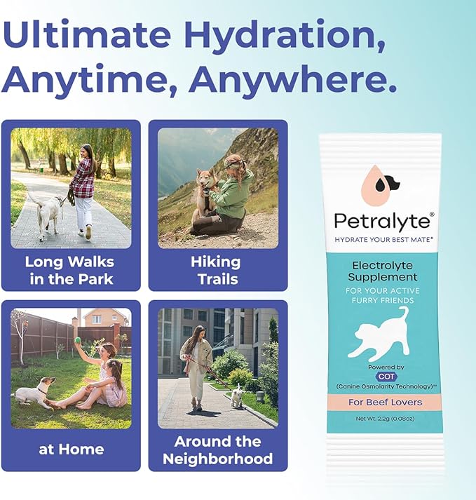 Petralyte Dog Electrolytes and Joint Supplement | Hydration Support for Dogs w/Glucosamine, Chondroitin & More | Electrolytes for Dogs with Prebiotics | for Beef Lovers | 32 Packets