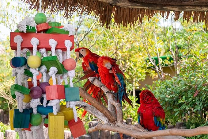Extra Large Parrot Bird Toys for Macaws, Amazon Parrots, African Grey- Birds Cage Accessories