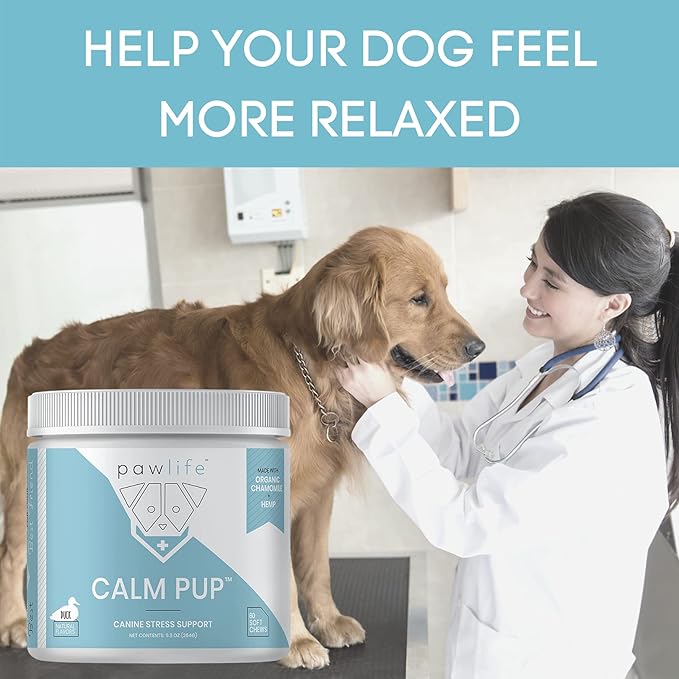 Hemp Dog Calming Chews - Anxiety Relief Treats, 240 Calming Treats for Dogs, Calm Pup Dog Anxiety Relief & Joint Support, Oil Infused Calming Chews for Dogs Anxiety (Bacon Flavor)