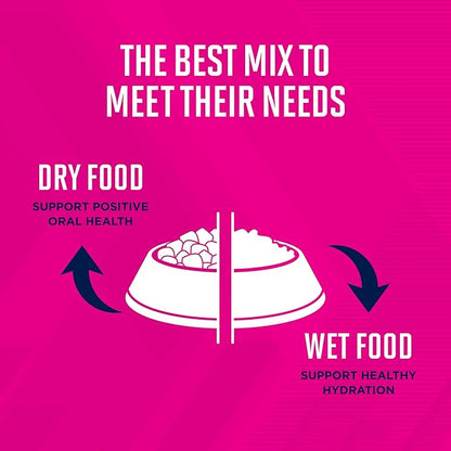 Eukanuba Adult Medium Breed Dry Dog Food, 16 lb