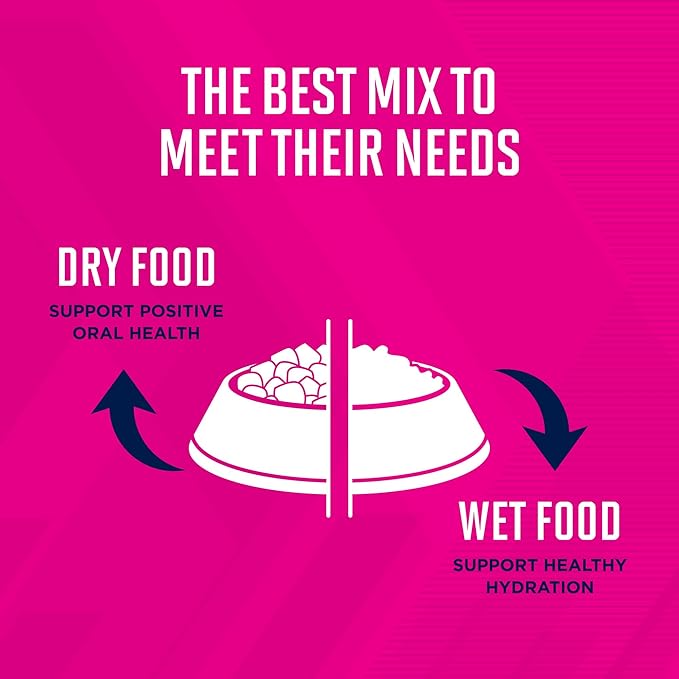 Eukanuba Adult With Lamb & Rice Canned Wet Dog Food, 13.2 oz Can (12-Count)