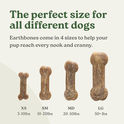 Earthbones (Formerly Terrabones) Dental Chews, Dog Teeth Cleaning Treat, Small, 13 Treats