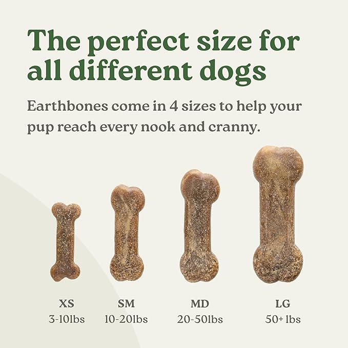 Earthbones (Formerly Terrabones) Dental Chews, Dog Teeth Cleaning Treat, USA Made, Medium, 10 Treats