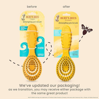 Burt's Bees for Pets Detangling Pin Brush for Puppies and Small Dogs | Handle Made from Recycled Plastics Collected from Coastal Communities | Dog Brush Removes Tangles and Loosens Light Matting
