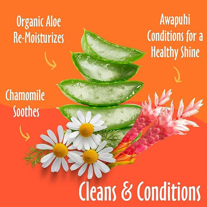 earthbath, Mango Tango Grooming Wipes - Dog Wipes for Paws and Butt, Best Pet Wipes for Dogs & Cats, Made in USA, Cruelty-Free Dog Cleaning Wipes, Removes Dirt & Dander - 100 Count (2 Pack)