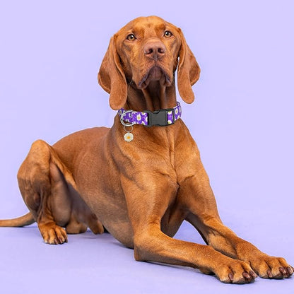 BiPawTi Floral Dog Collar for Girl Boy - Dog Collars Cute Flower Puppy Collar for Extra Small Dog, Soft Adjustable Dogs Collar for Small Dogs with Pretty Daisies Charms (XS, Purple)