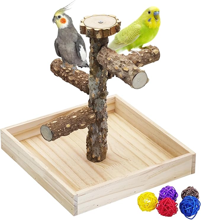 BNOSDM Portable Bird Perch Stand with Potty Tray, Natural Wood Tabletop Training Gym Parrot Playground Toy for Budgies, Cockatiels, Lovebirds,Conures Canaries