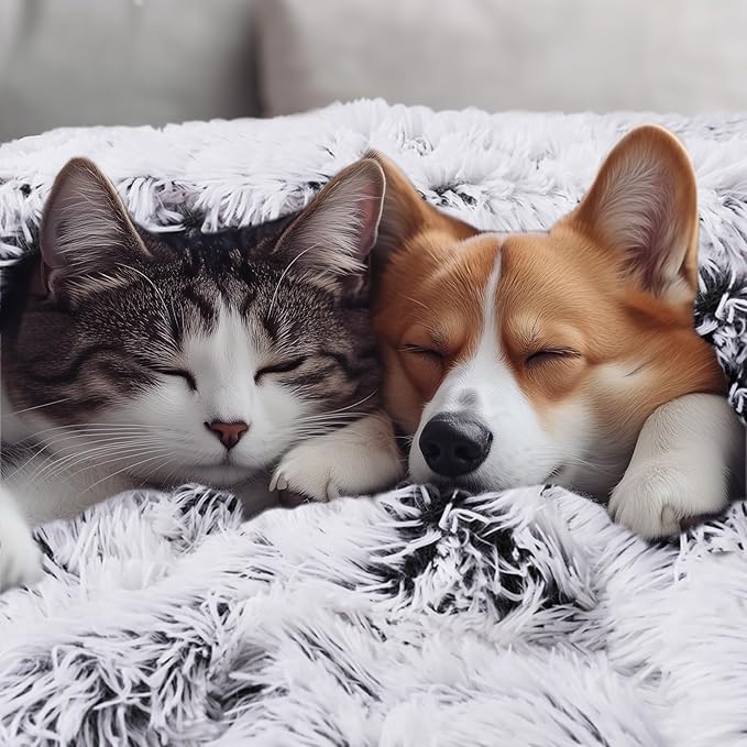 Luciphia Large Waterproof Dog Blanket Pet Washable Liquid Proof Furniture Protector Small Shaggy Plush Calming Long Faux Fur Bed Cover for Couch Cat Blankets for Kitten Doggy, Mist Grey, 30" x 40"